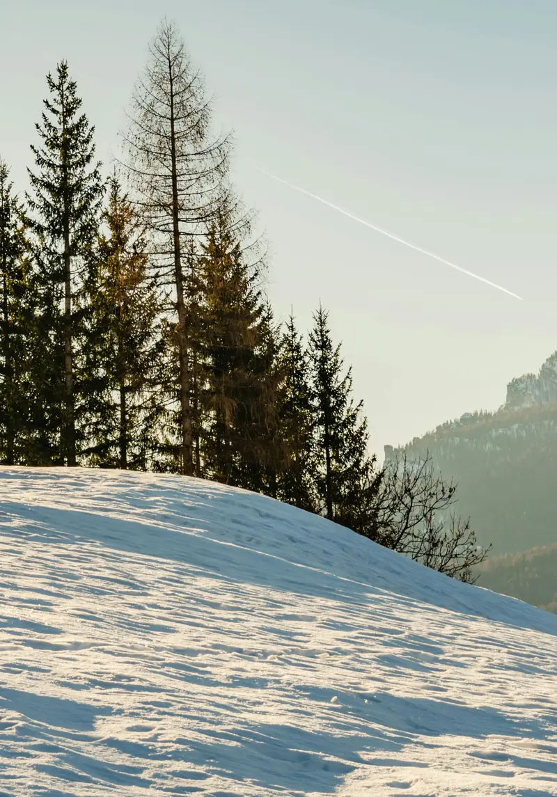 November Monthly Market 2025